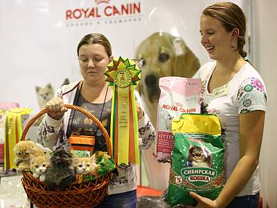 �������� ����� '���-�����-��������' 20-21 �������� 15-126-169A2398 copy.jpg